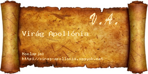 Virág Apollónia névjegykártya